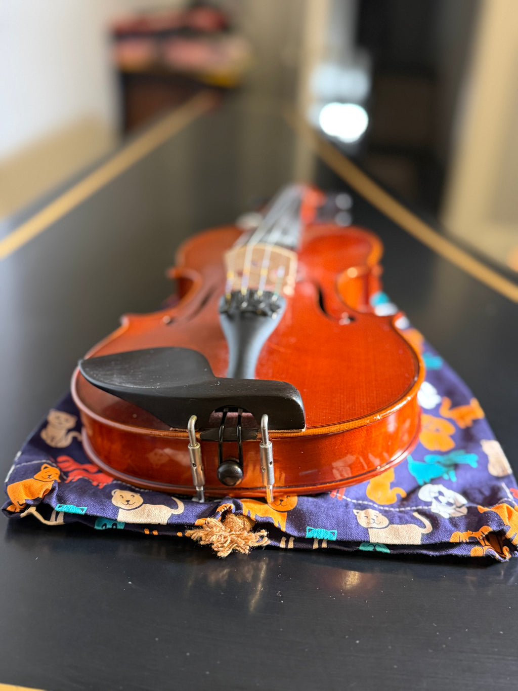 1/4 - 1/2 Size Violin Bag "Friendly Pets"