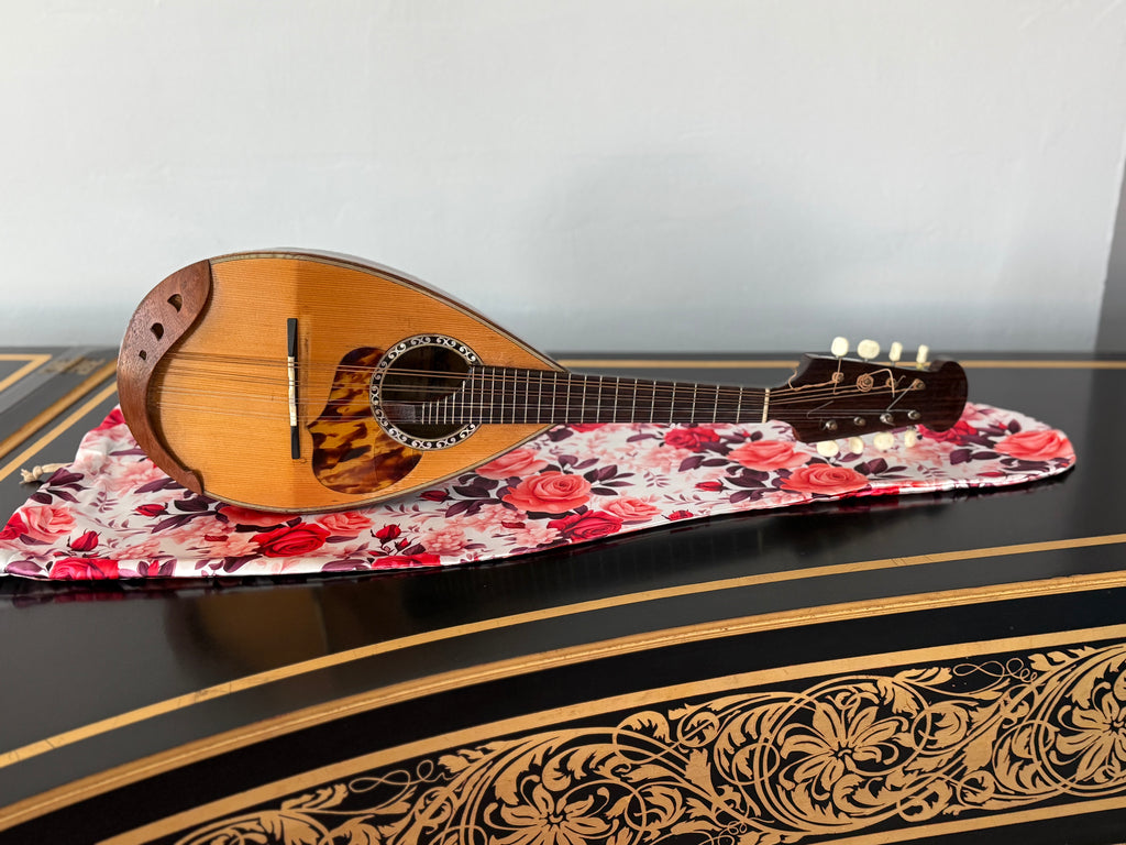 Mandolin/Viola Bag "Silky Roses"