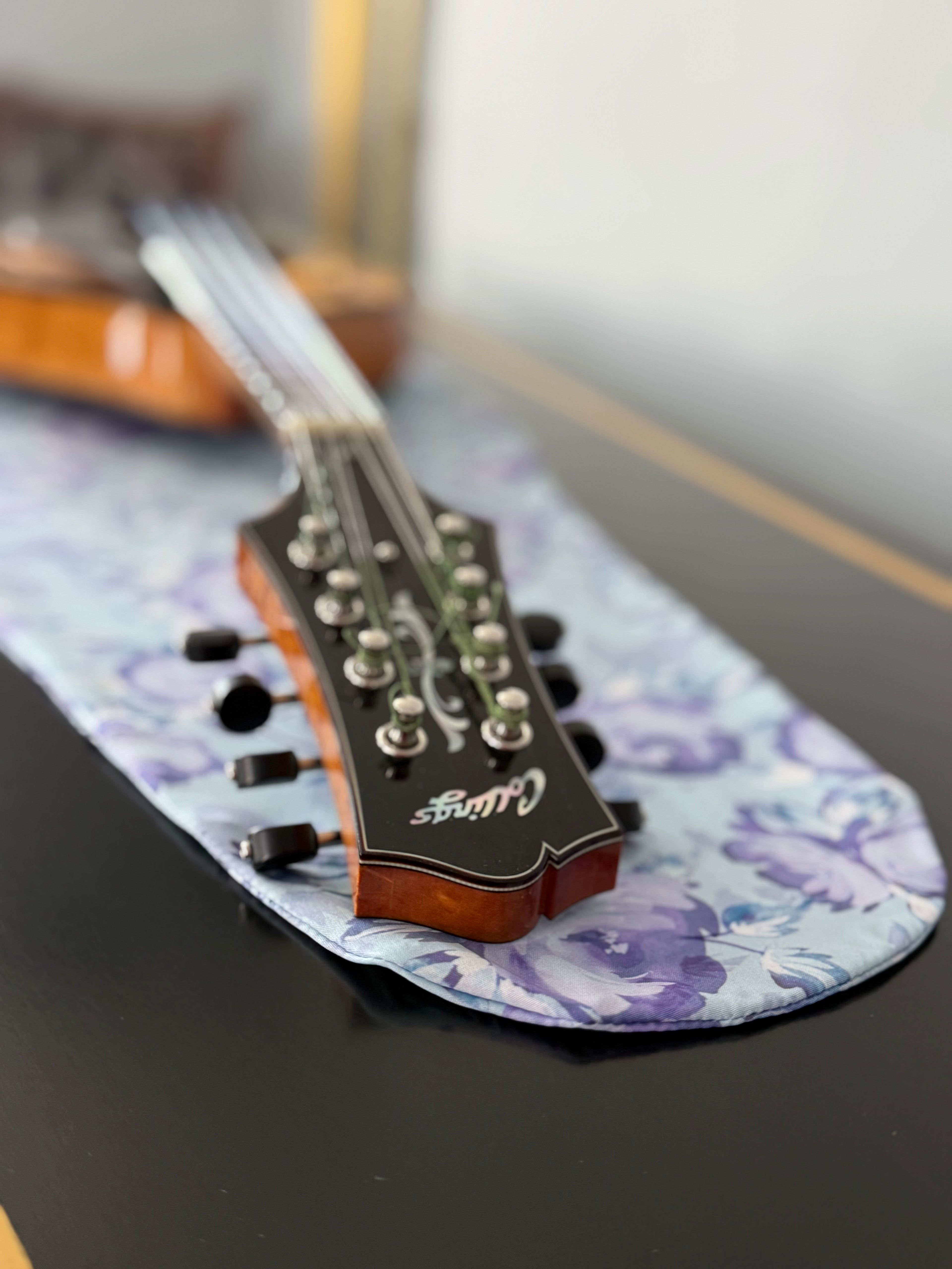 Mandolin/Viola Bag "Fantasy in Blue"