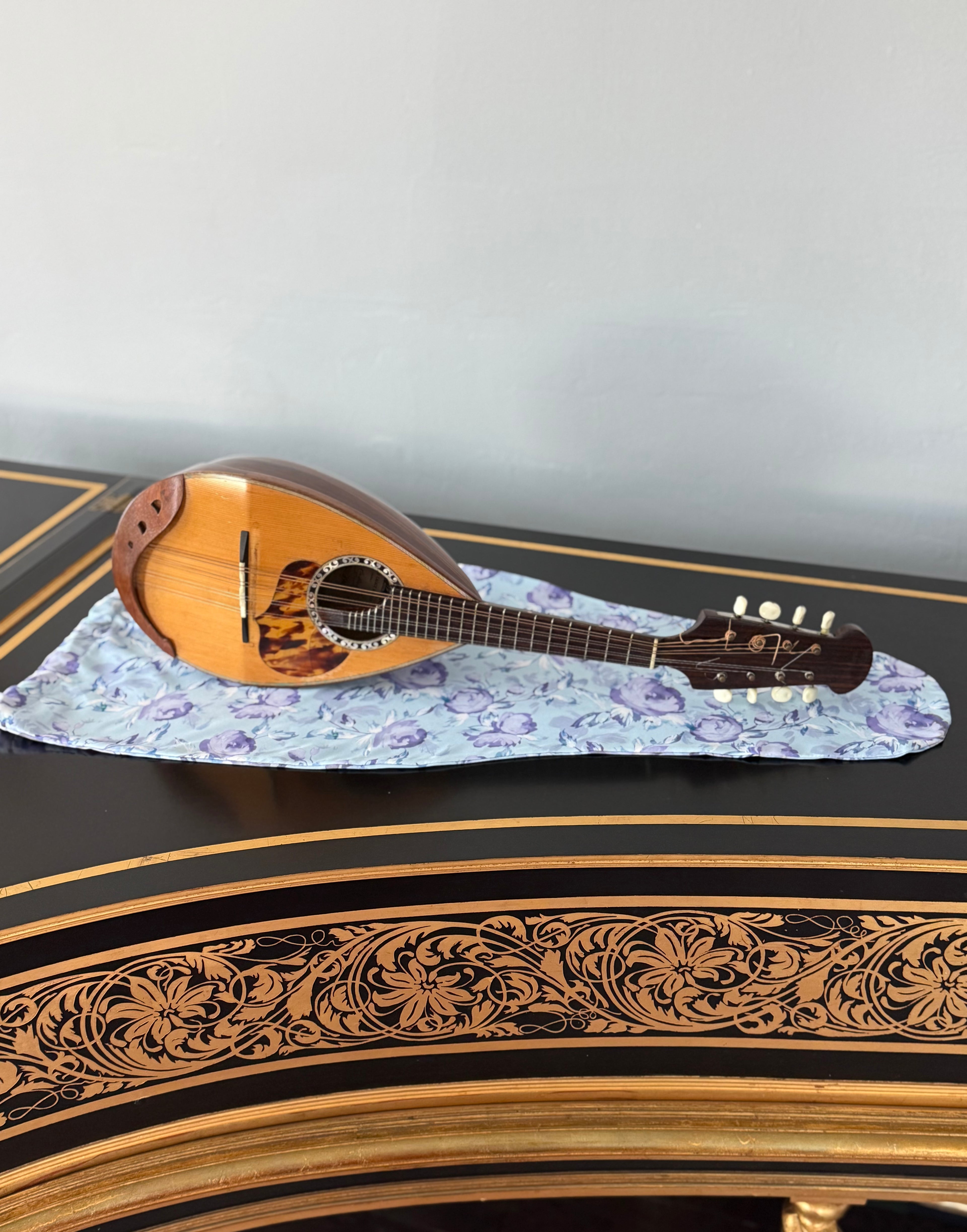 Mandolin/Viola Bag "Fantasy in Blue"