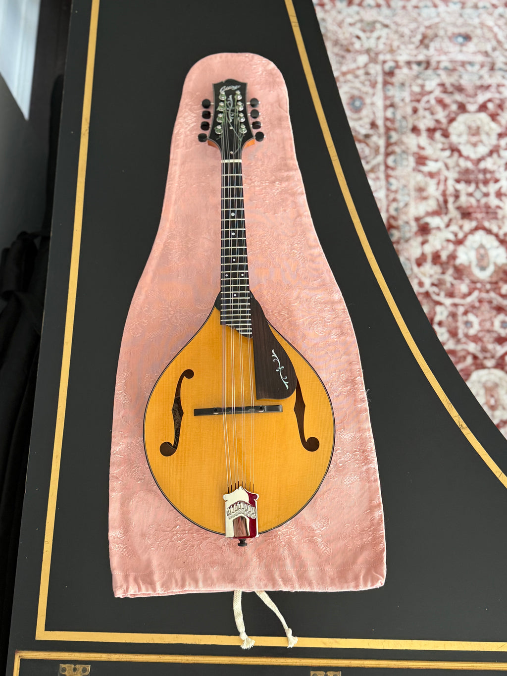 Mandolin/Viola Bag "Soft Blush"