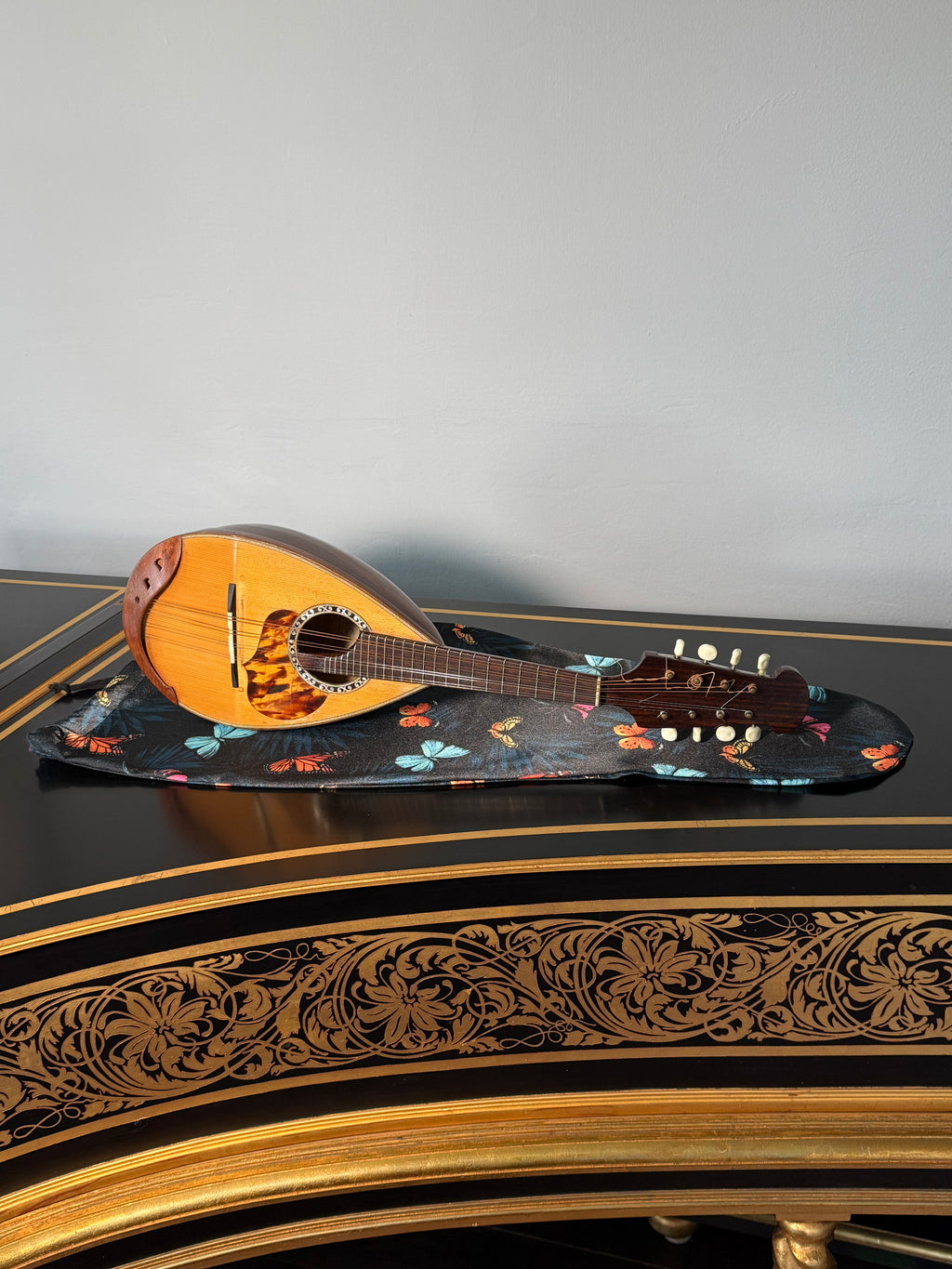 Viola/Mandolin Bag "Midnight Butterflies" 🦋