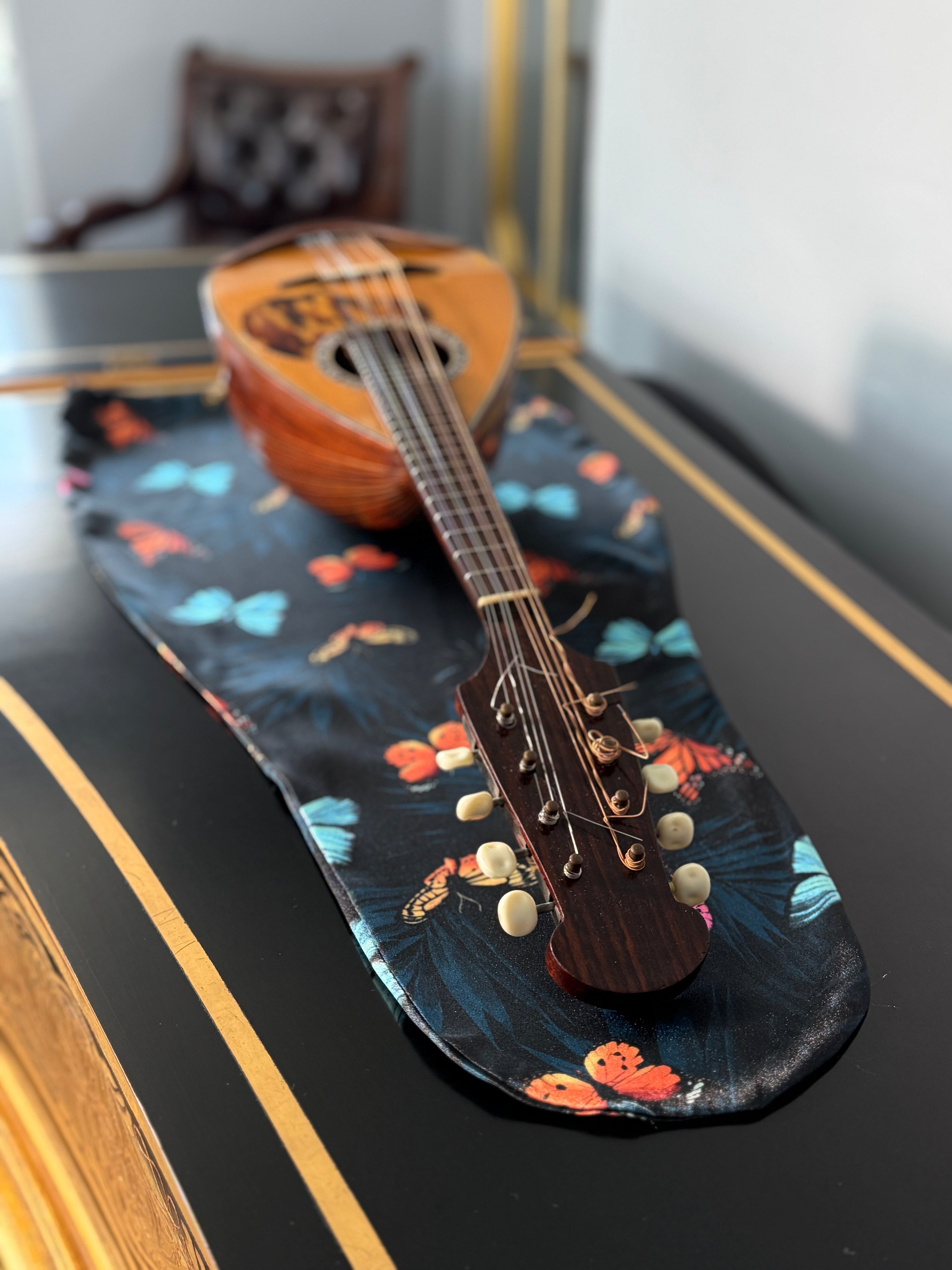 Viola/Mandolin Bag "Midnight Butterflies" 🦋