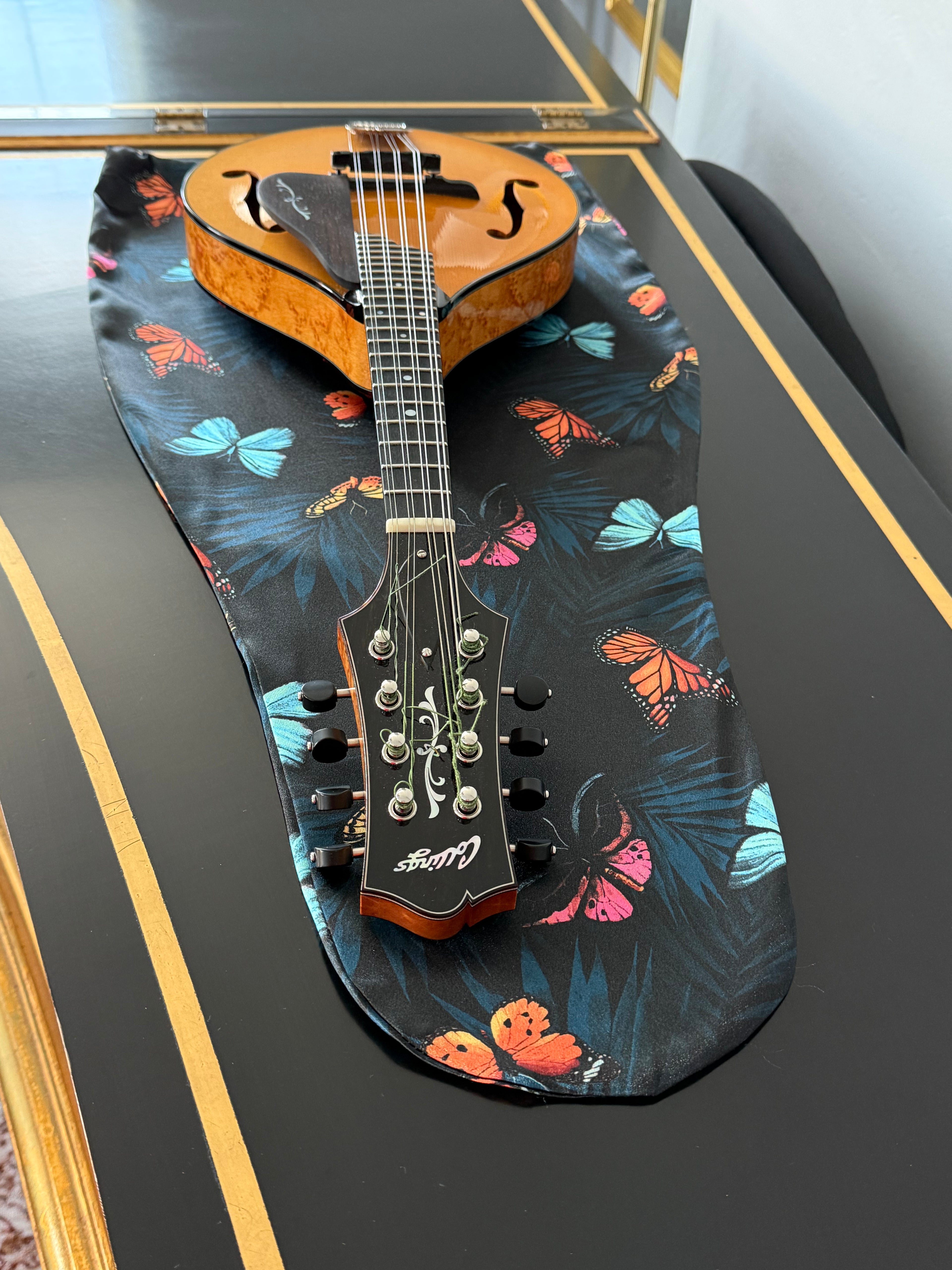 Viola/Mandolin Bag "Midnight Butterflies" 🦋