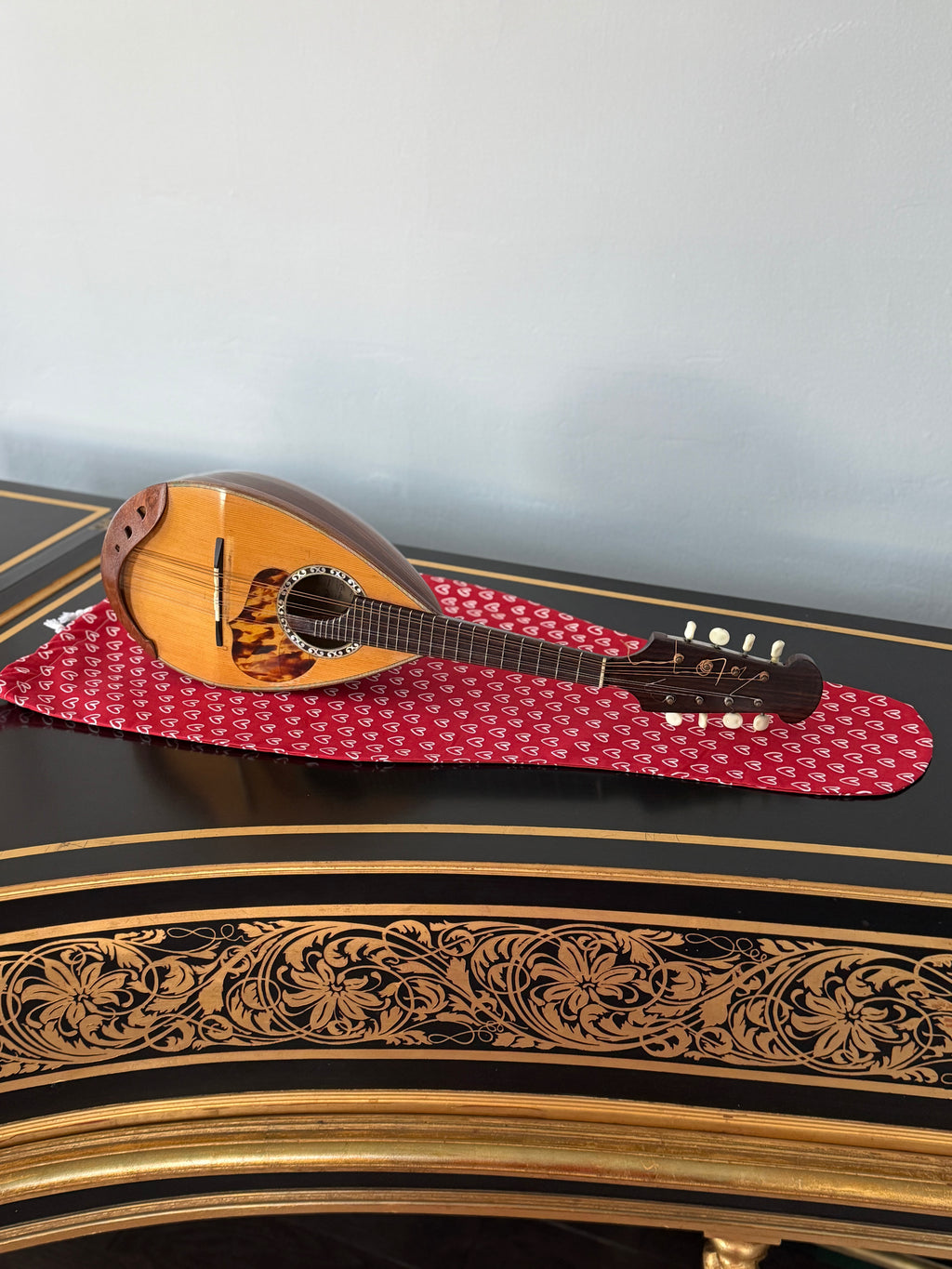 Mandolin/Viola Bag "Love Story"