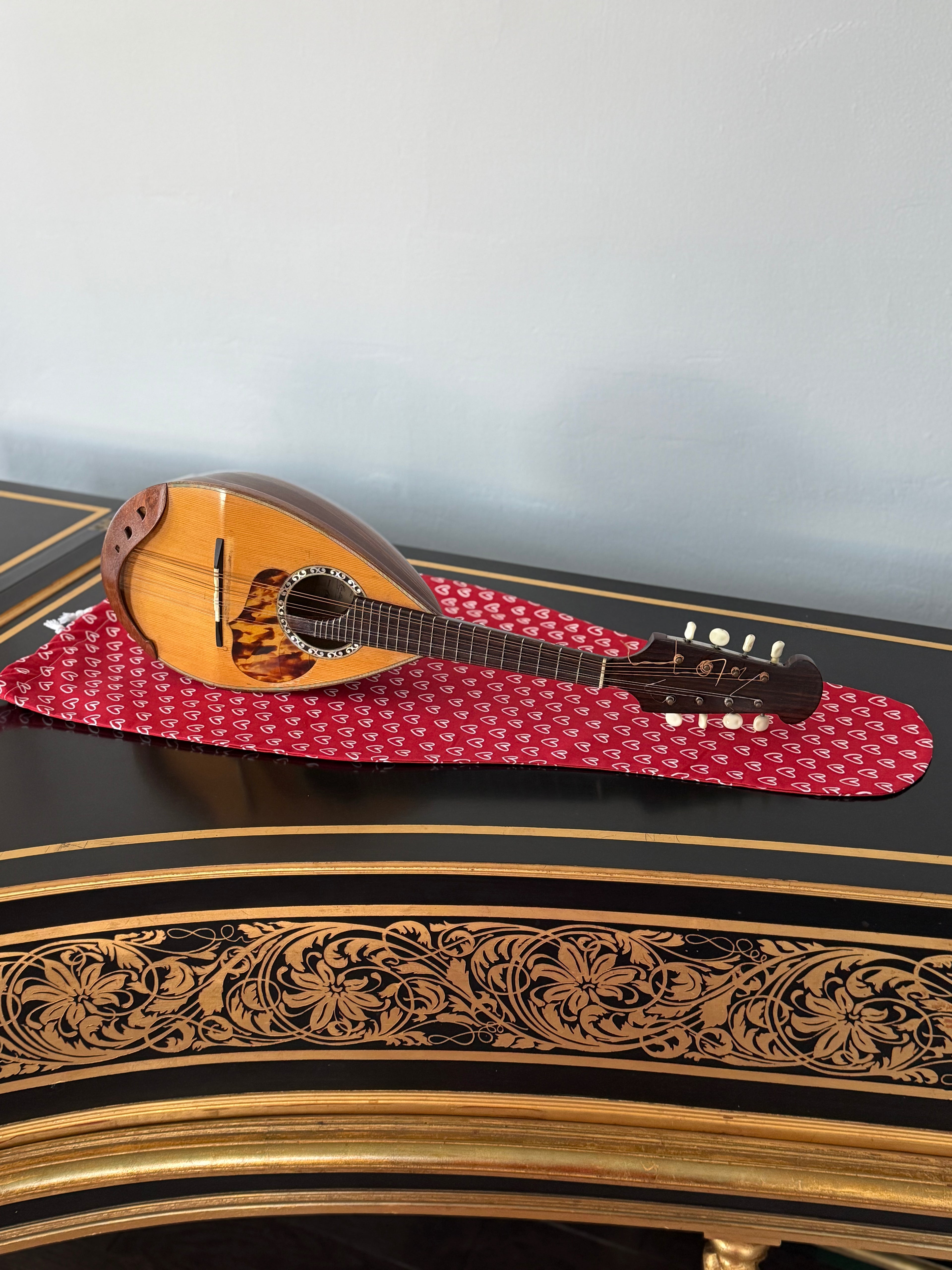 Mandolin/Viola Bag "Love Story"