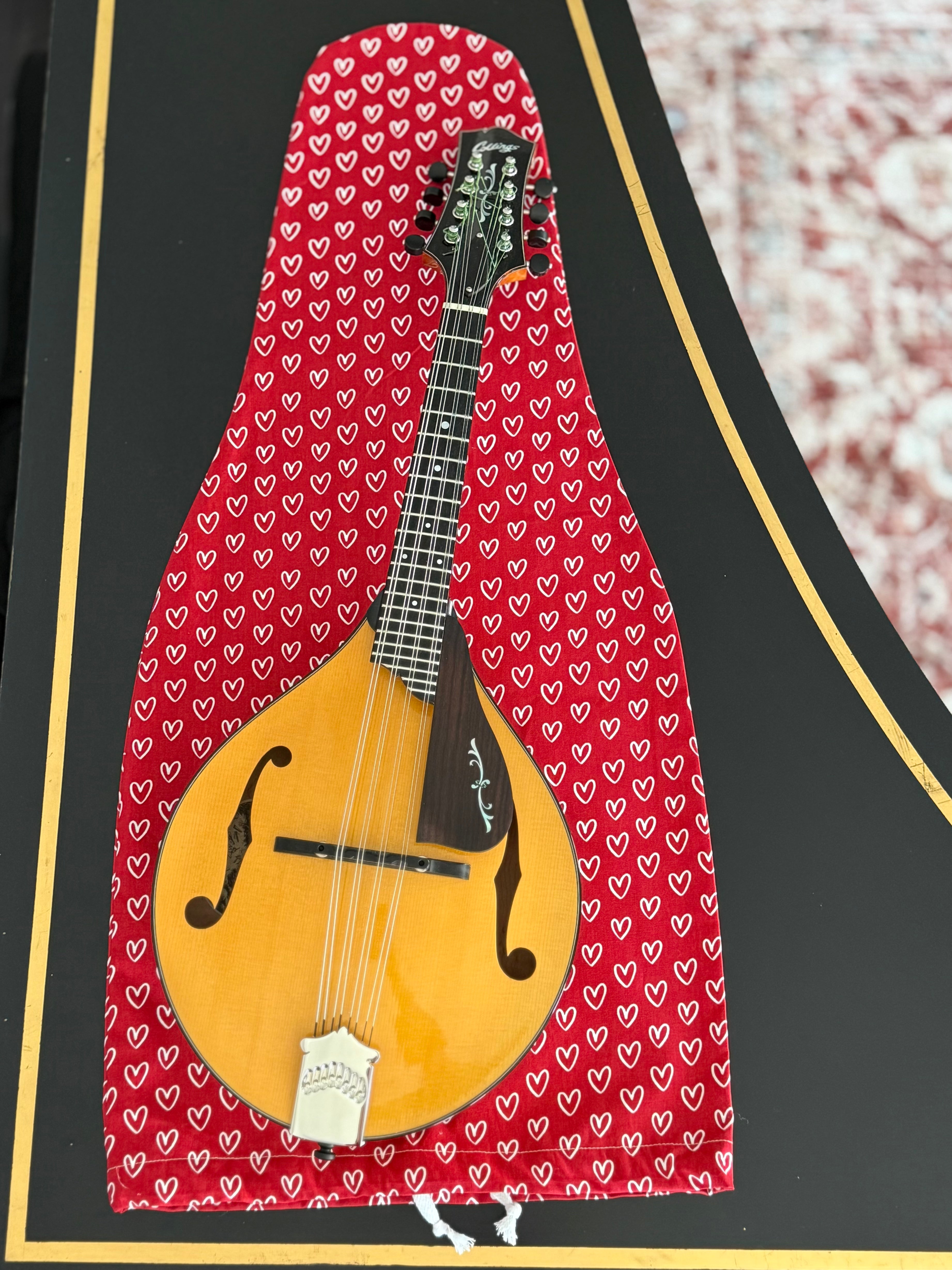 Mandolin/Viola Bag "Love Story"