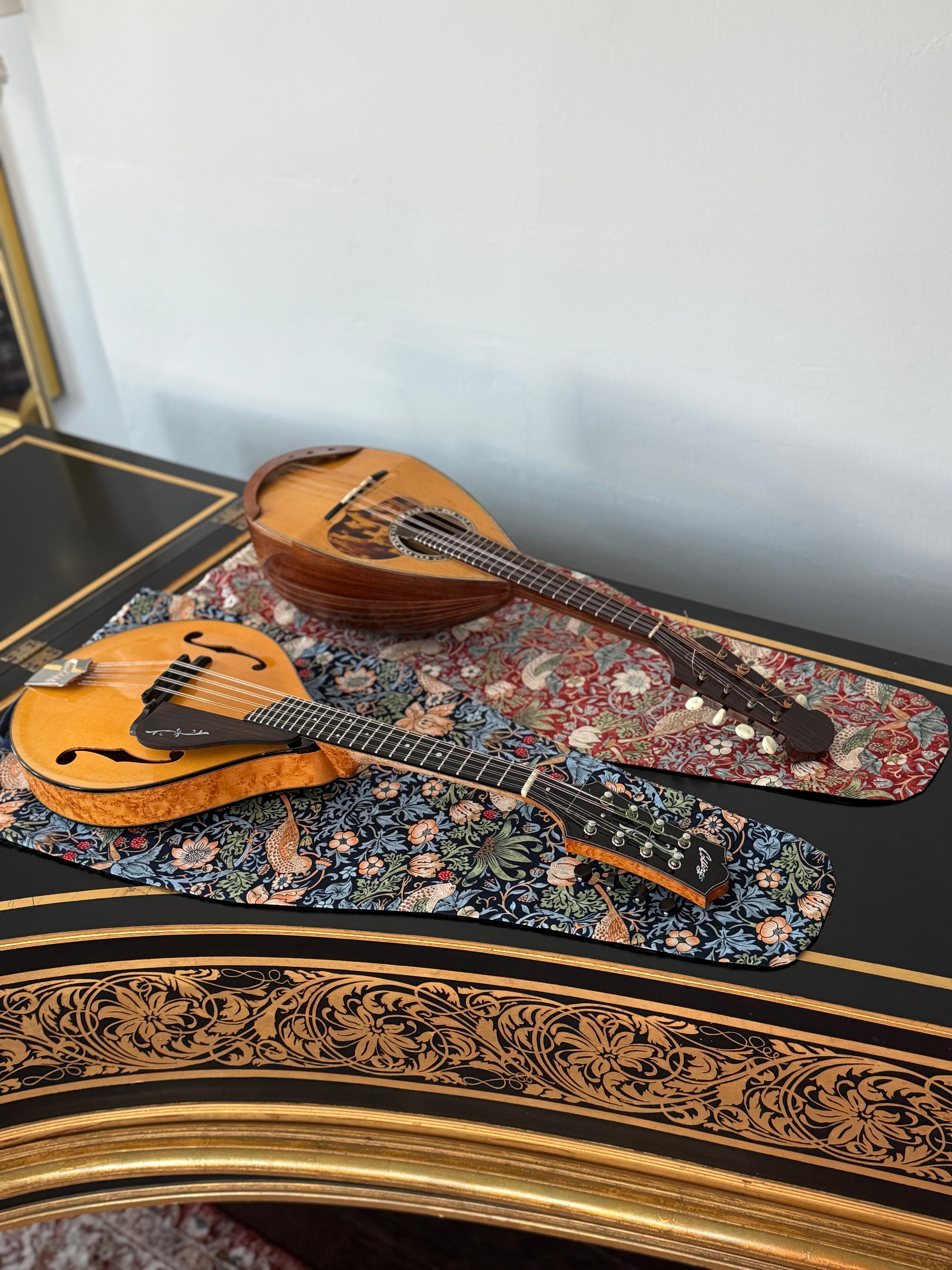Viola/Mandolin Bag "Baroque Birds in Blue"