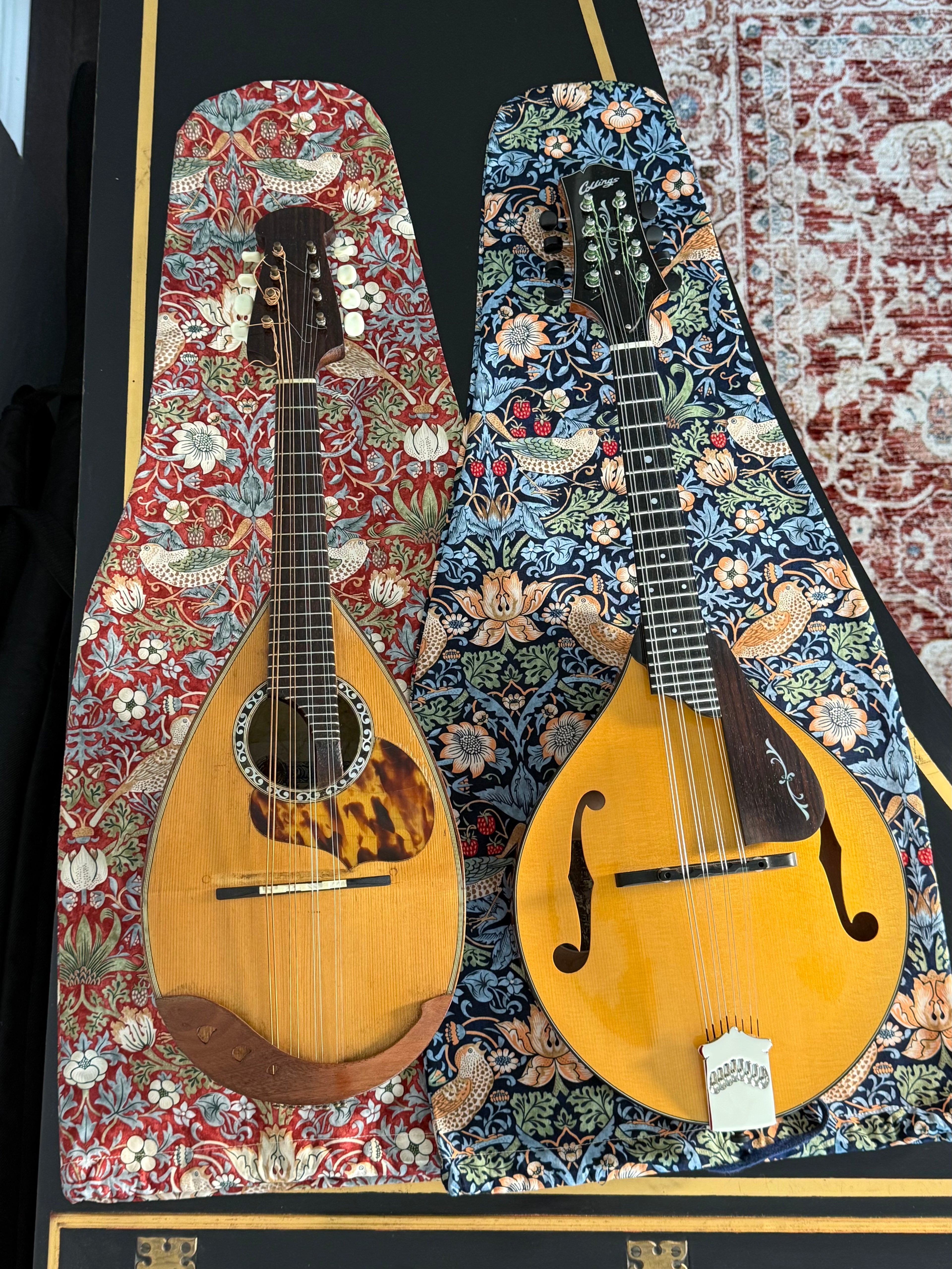 Viola/Mandolin Bag "Baroque Birds in Blue"