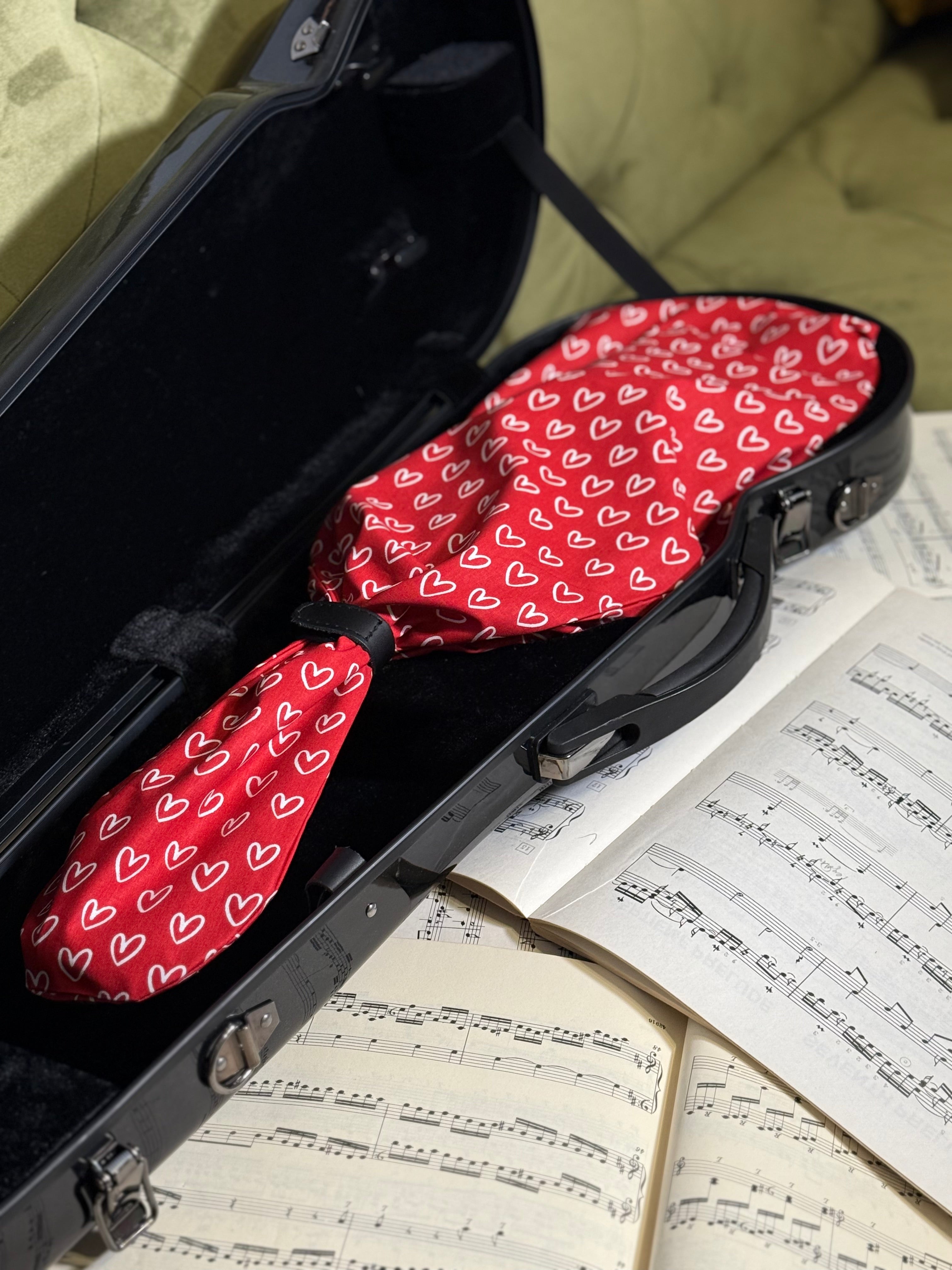 Violin Bag "Love Story"