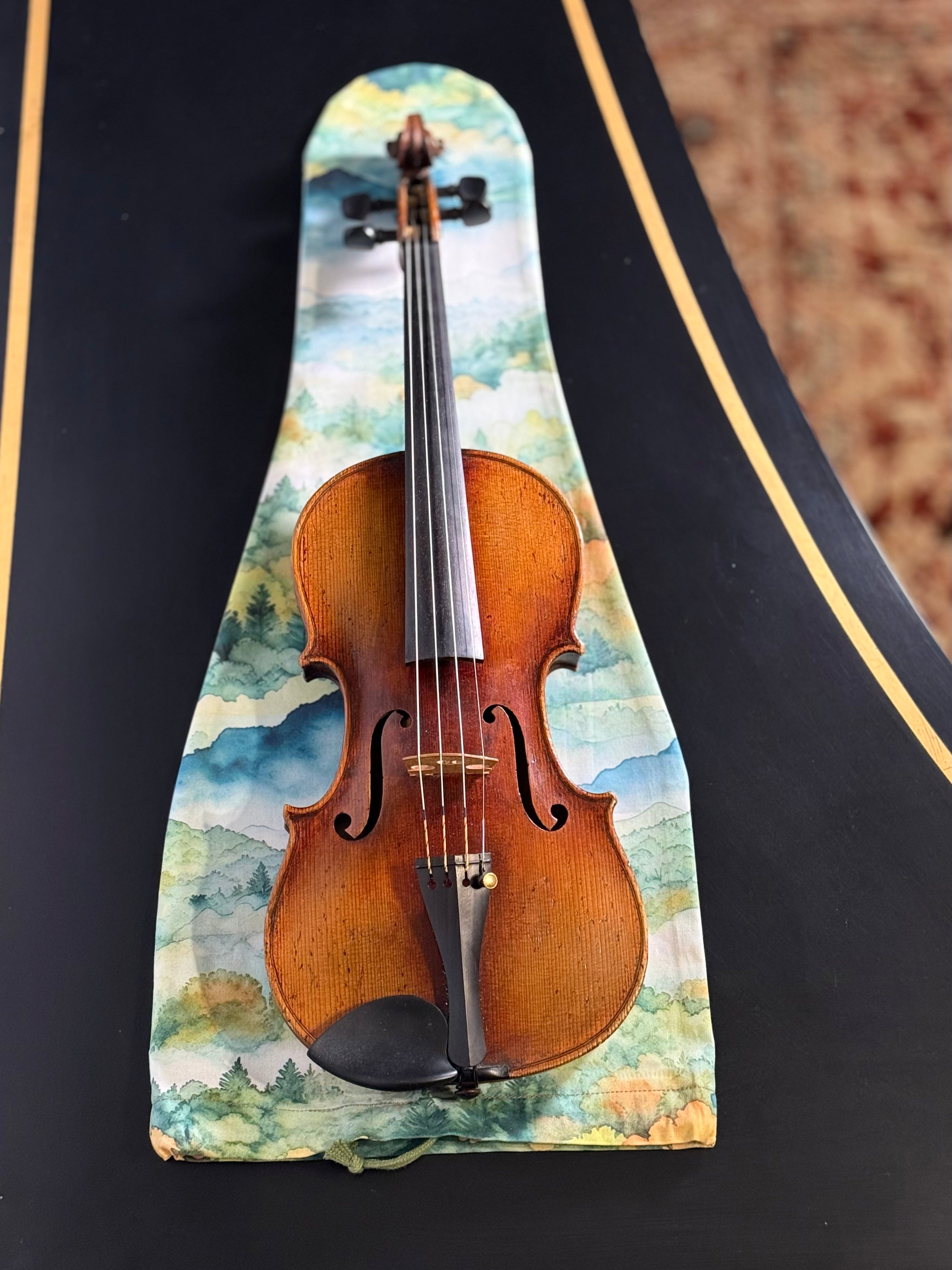 Violin Bag "Dreamy Mountains"