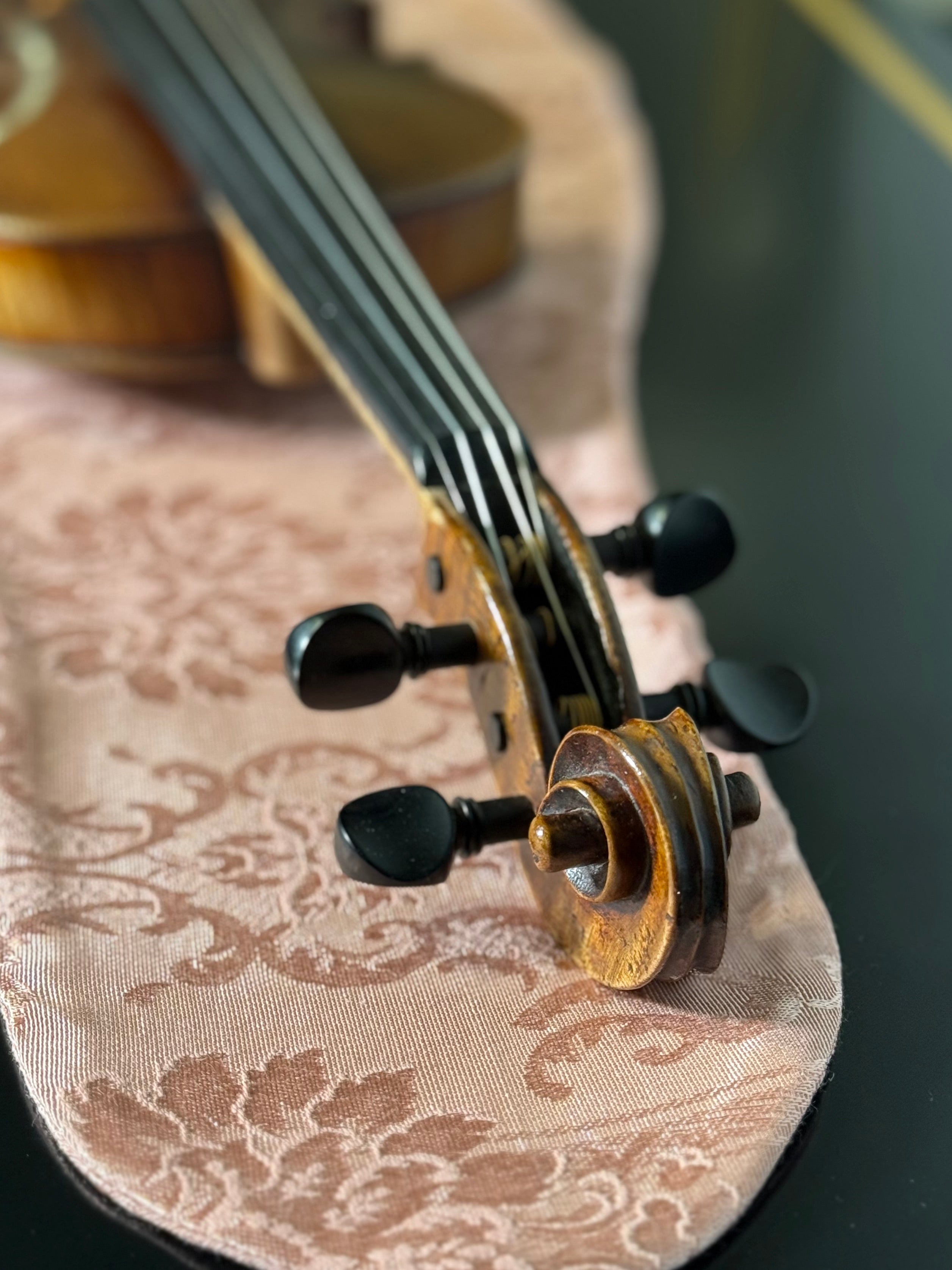 Violin Bag "Soft Blush"