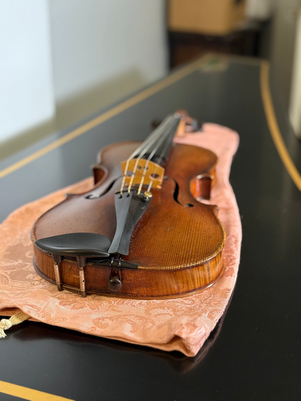 Violin Bag "Soft Blush"