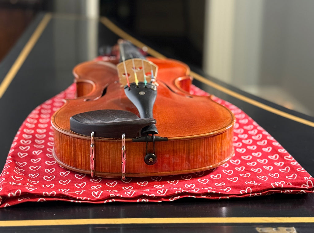 Mandolin/Viola Bag "Love Story"