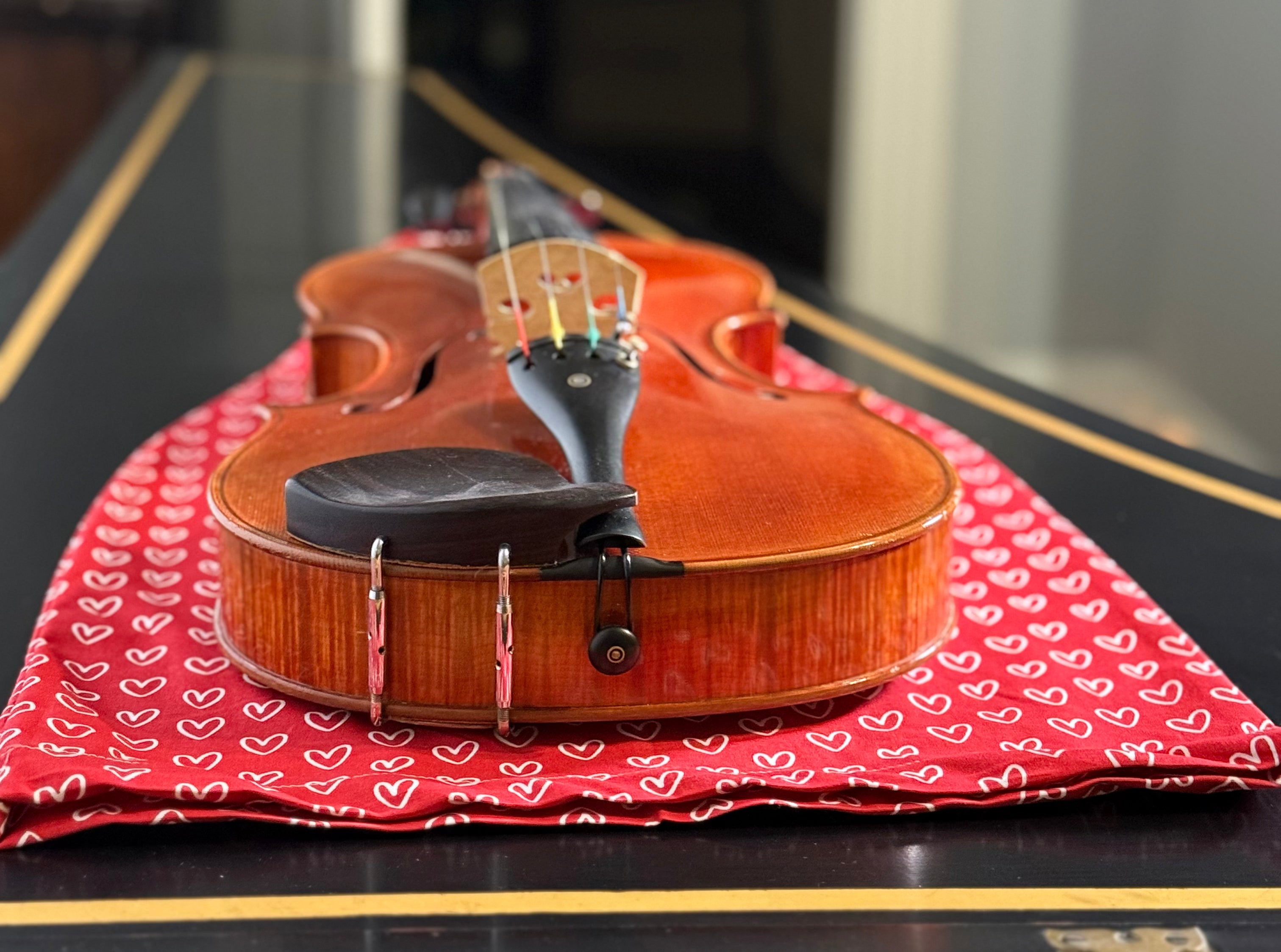 Mandolin/Viola Bag "Love Story"