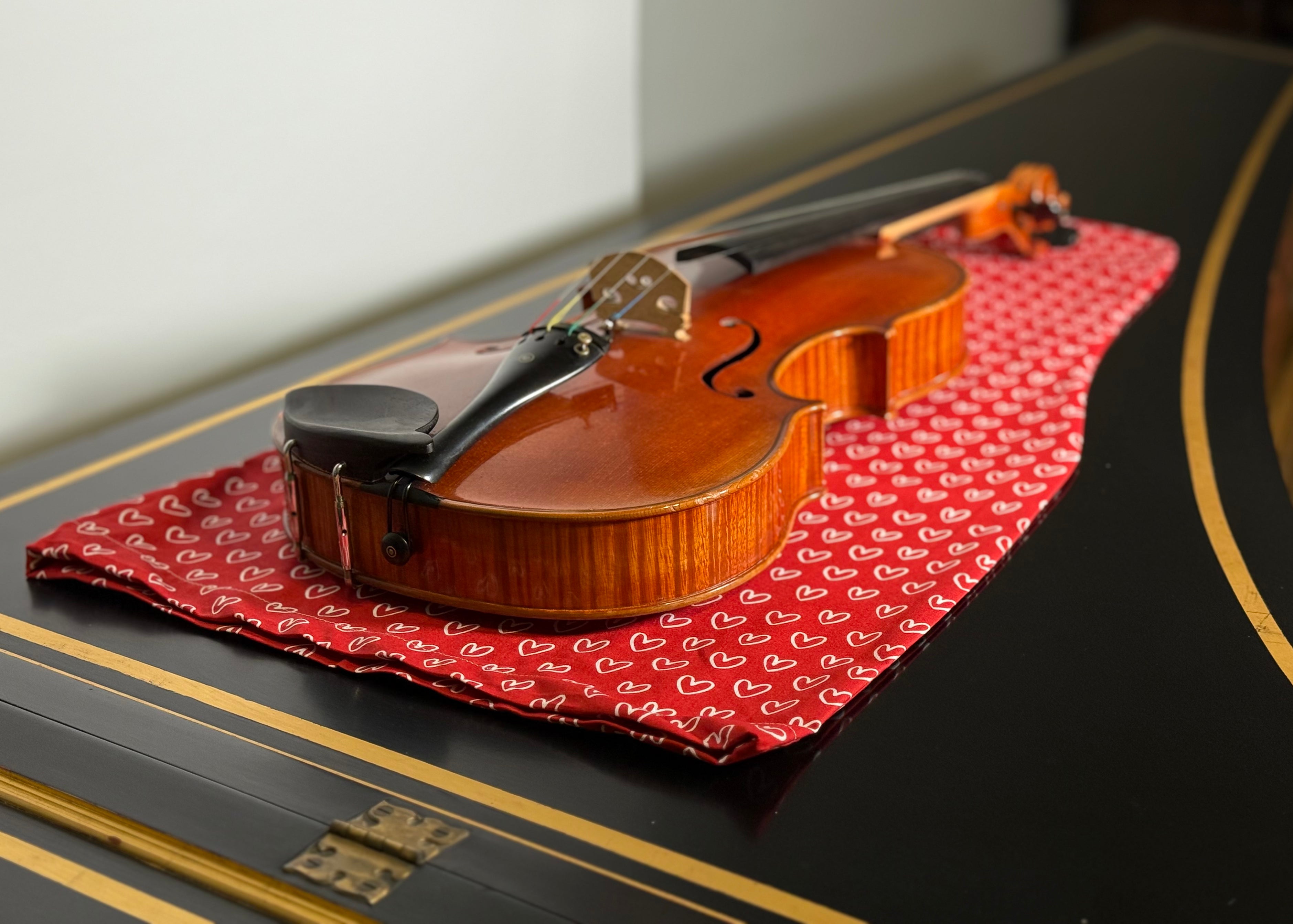 Mandolin/Viola Bag "Love Story"