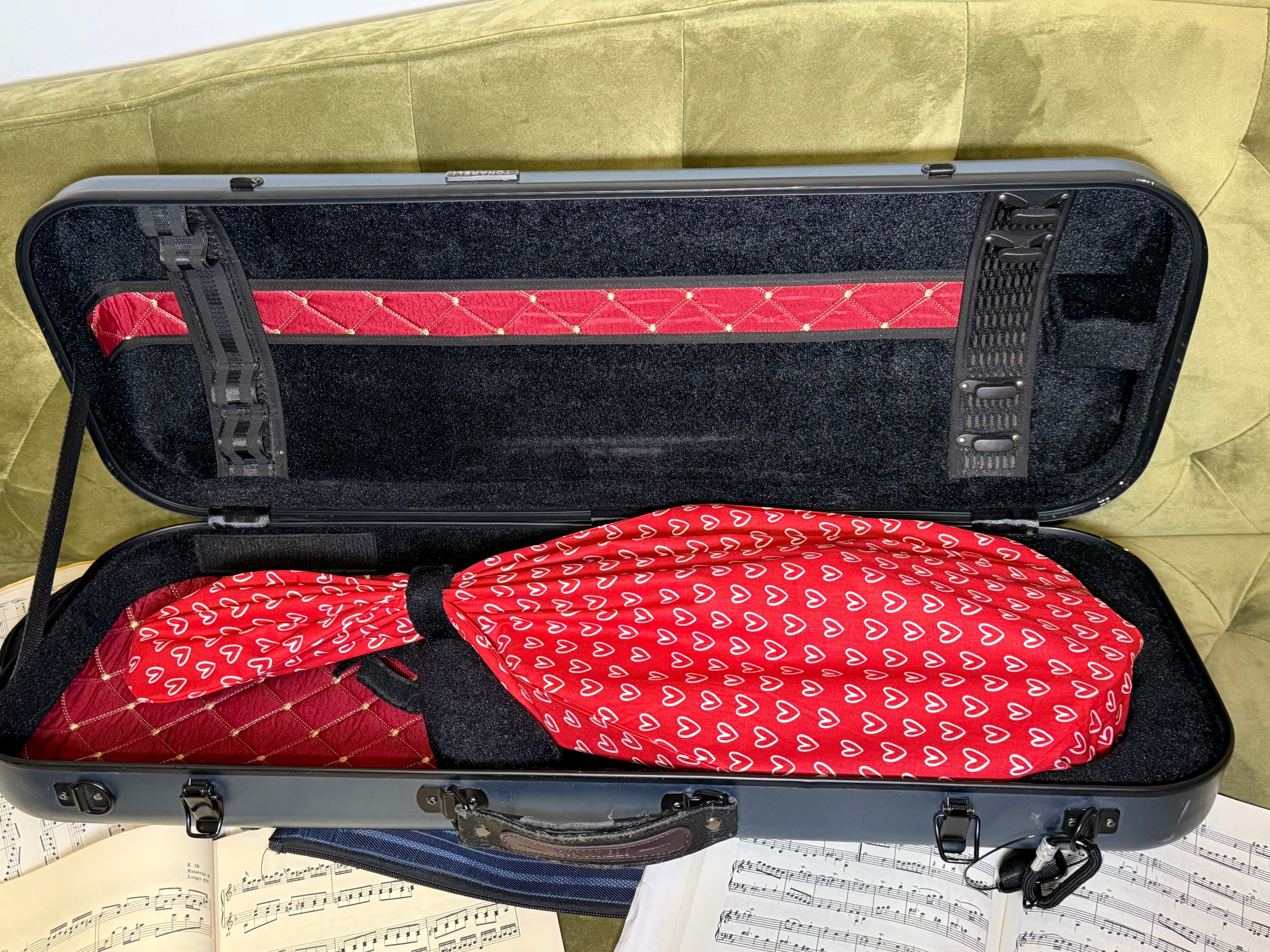Mandolin/Viola Bag "Love Story"