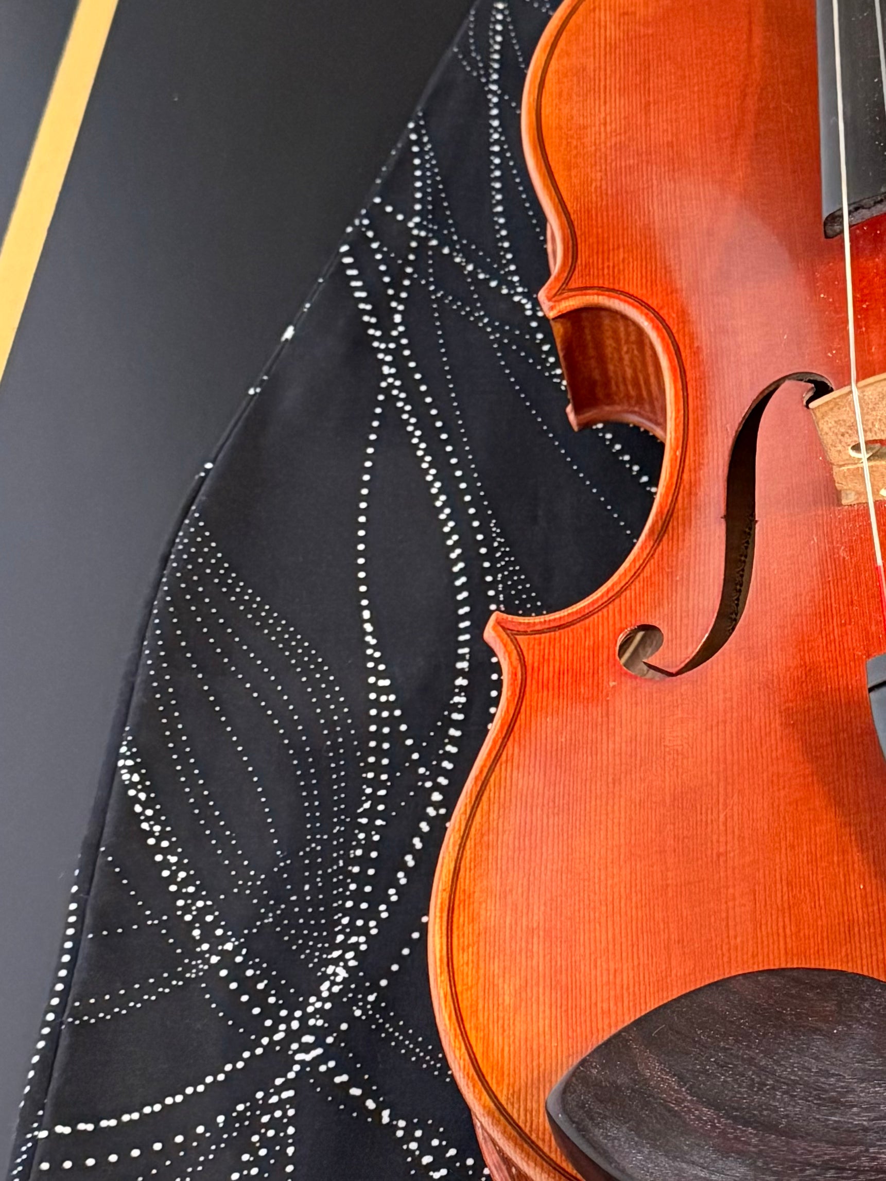 Viola/Mandolin Bag "Aboriginal Art"