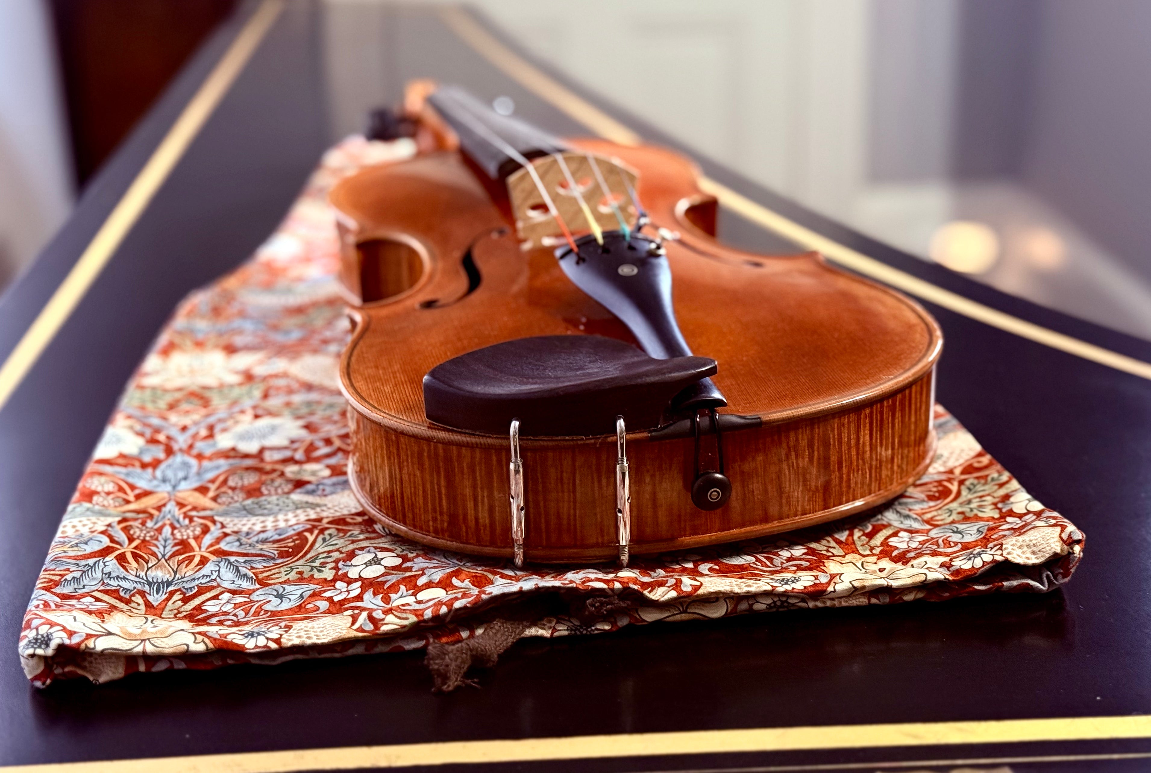Viola/Mandolin Bag "Baroque Birds in Red"